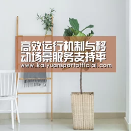 产品名称六(图1)