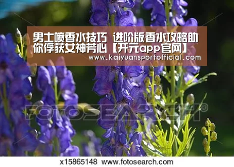 开元app官网