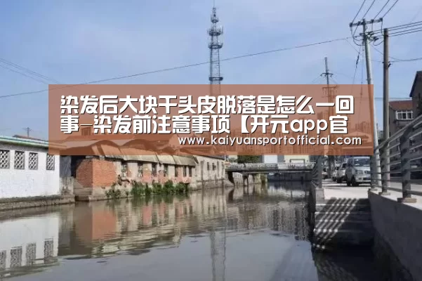 染发后大块干头皮脱落是怎么一回事-染发前注意事项【开元app官方下载】(图2) 开元appapp